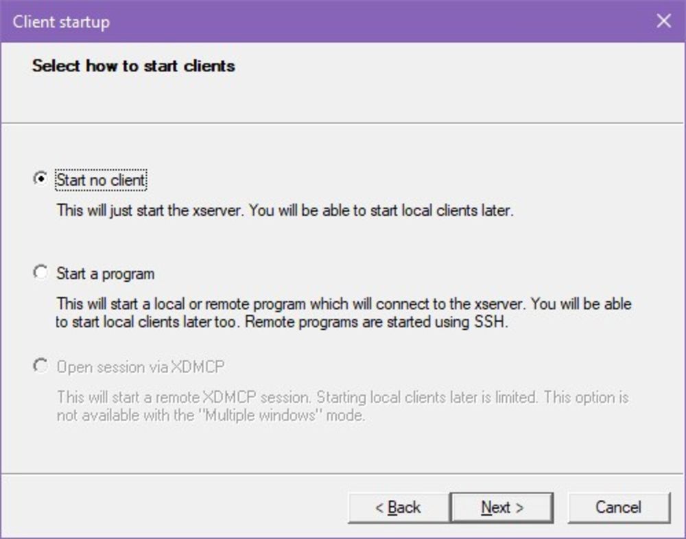 A screenshot displaying the "how
to start clients" option