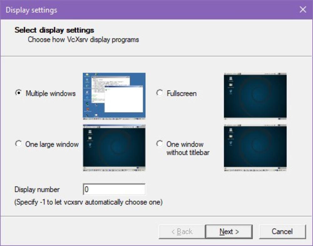 A screenshot displaying four
possible display settings, with the "Multiple Windows" option checked